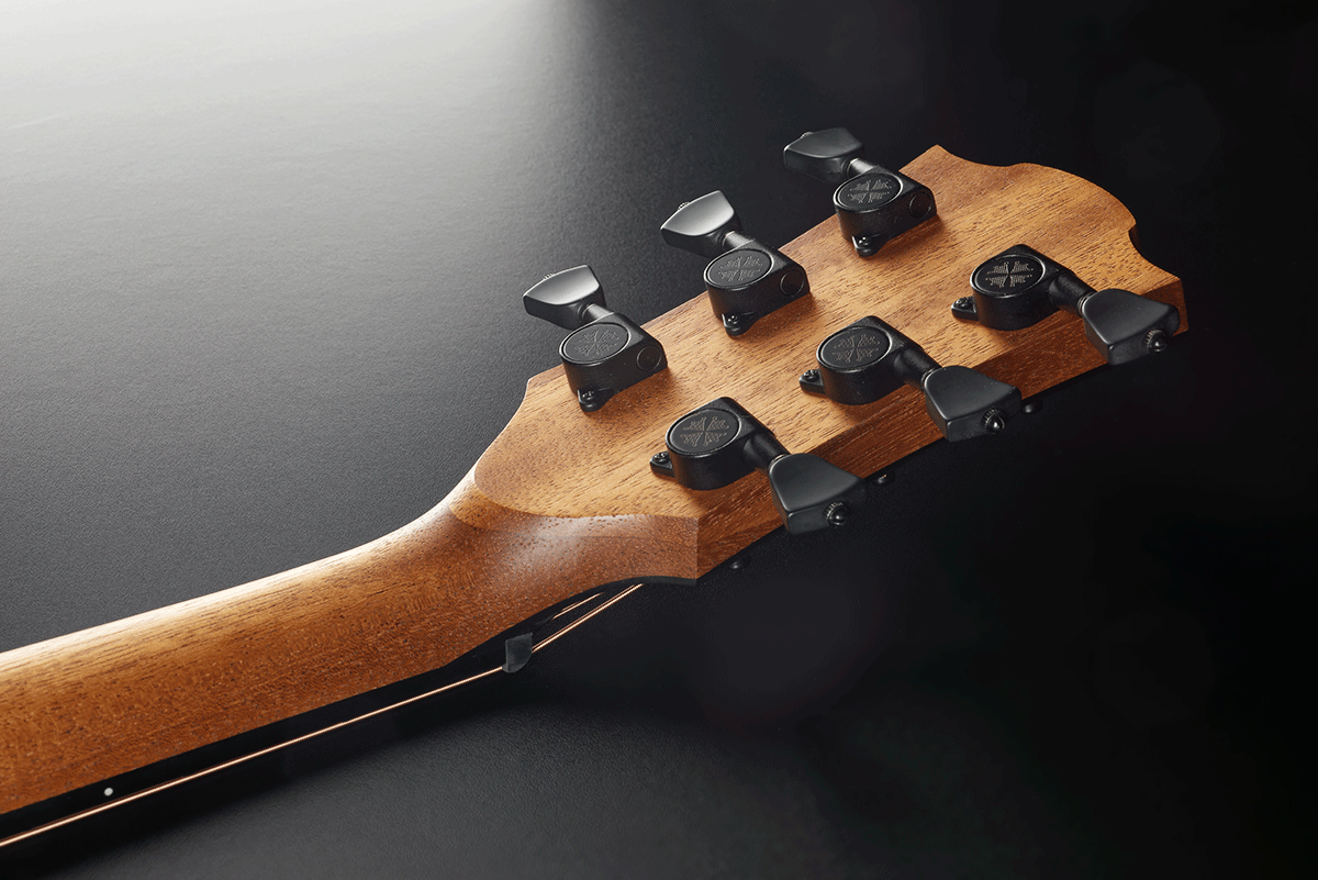 Sauvage Dreadnought avec housse