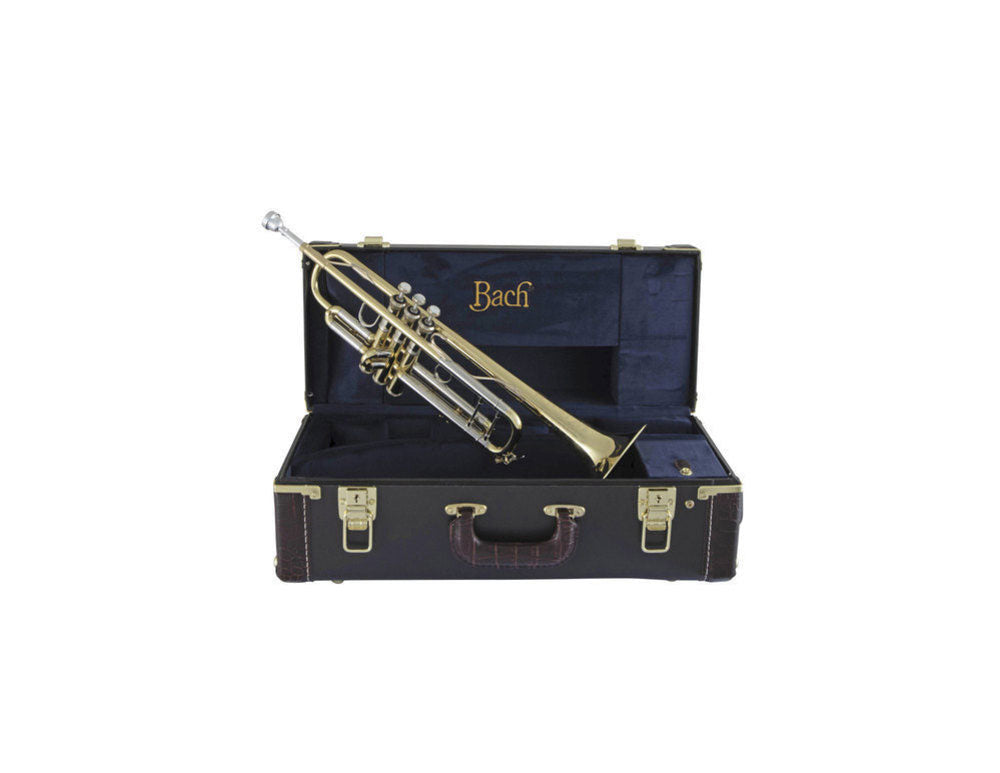 19043 Stradivarius - Sib Vernie