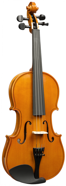 Violon Massif 1/16