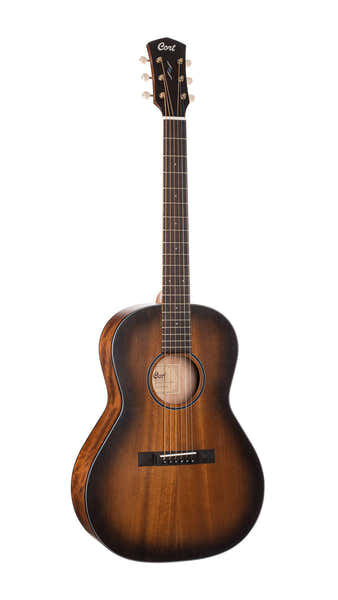 Guitare CORE-PE Acajou Black Burst
