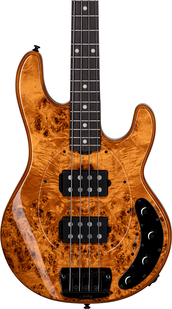 Ray 34 HH Poplar Burl Amber