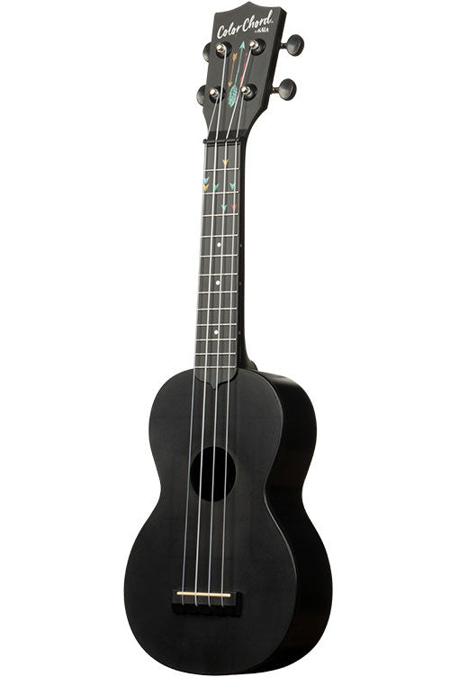 Recycled Learn To Play Soprano Color Chord