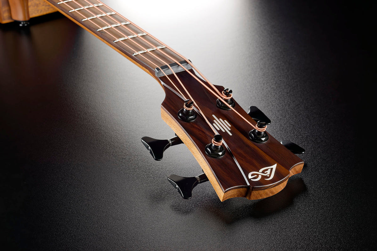 HyVibe 2 Série 10 Basse Acoustique CW