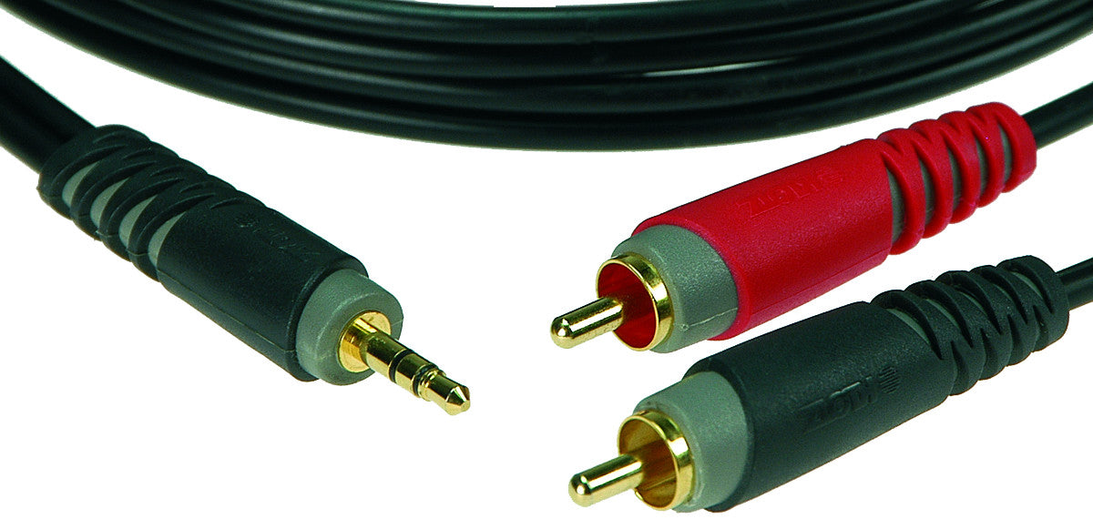 AY7-0600 Mini Jack - 2 RCA 6 M