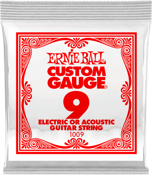 Ernie Ball P01009 Corde Detail 09