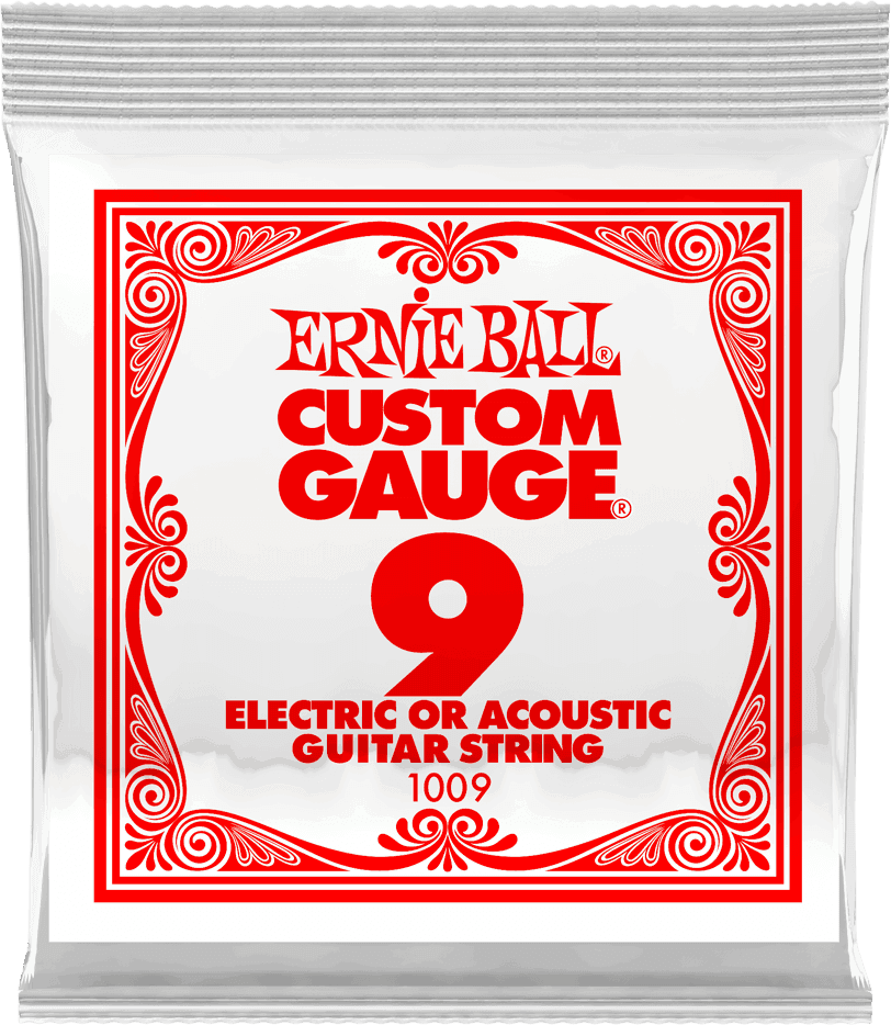 Ernie Ball P01009 Corde Detail 09