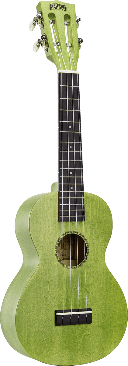 Ukulélé Island Concert Sea Green + Housse