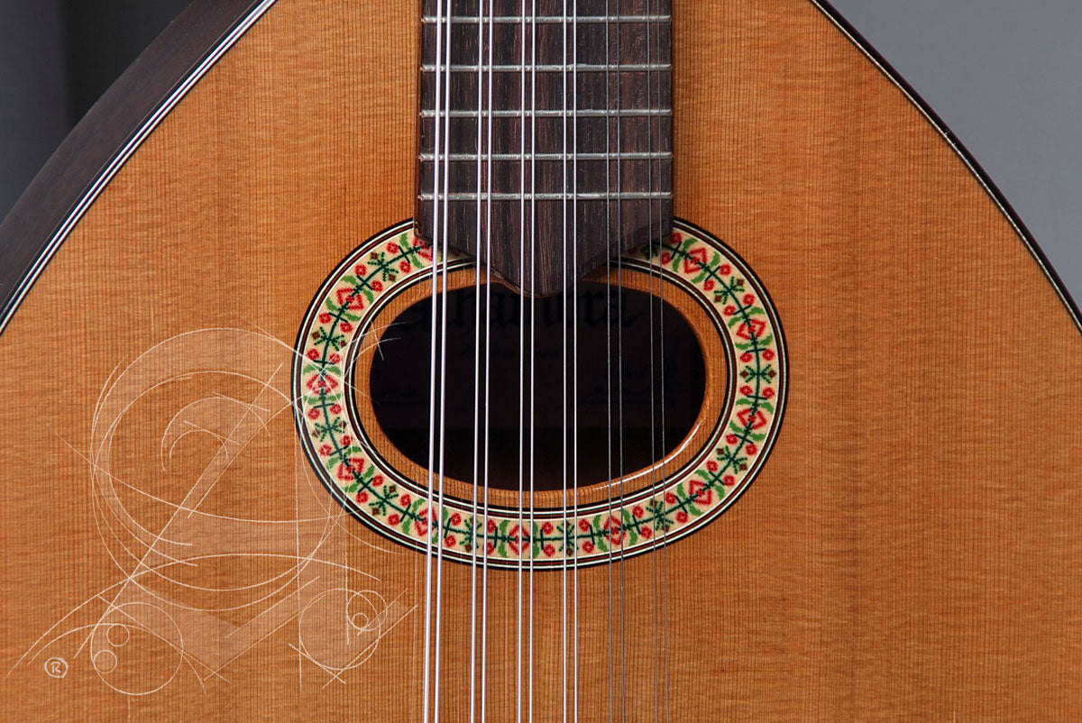 Etude L-3C Lutes + 9534 Housse