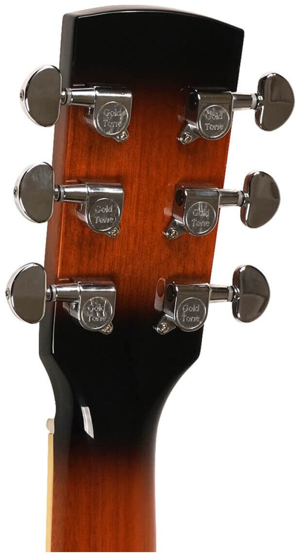 PBR-L Gaucher Paul beard Signature case LH