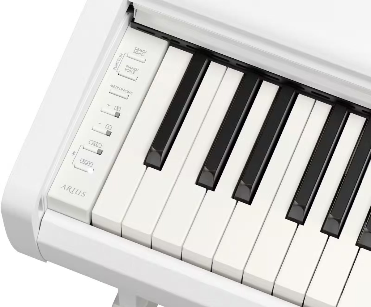 Arius YDP-146 Blanc