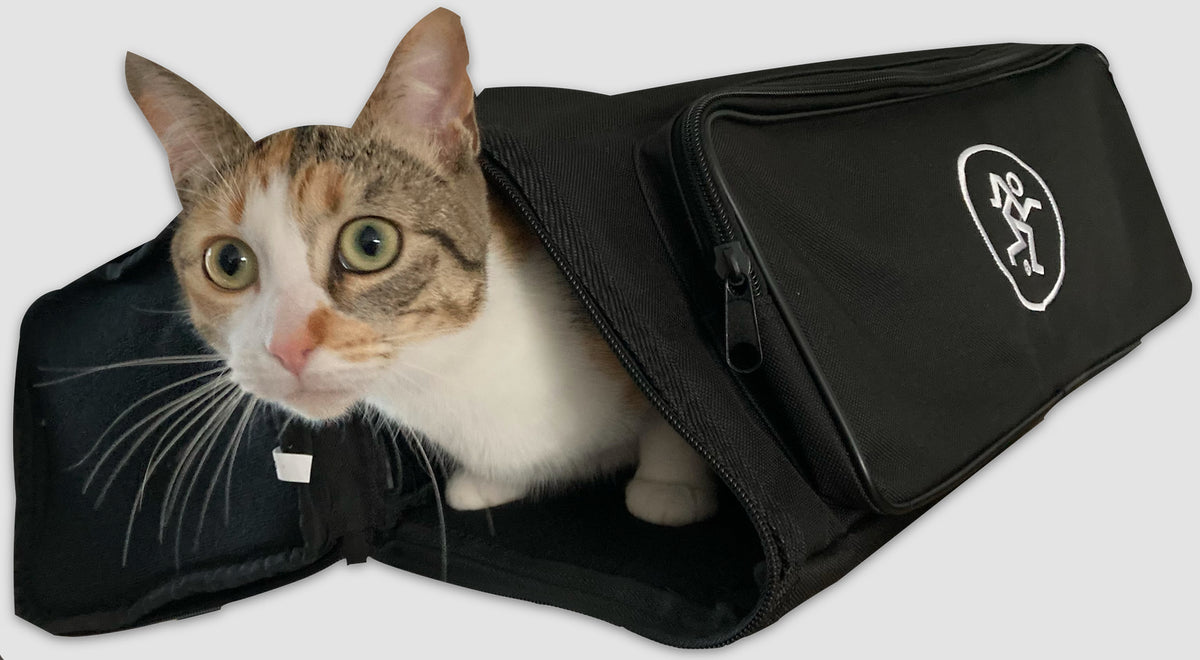 DL16S-bag-Sac de transport Pour DL16S