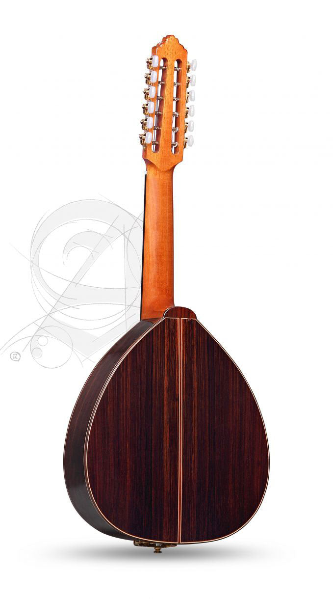 Conservatoire L-6P A Lutes + 9534 Housse
