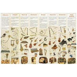 Poster - Haas Regis - Histoire Des Instruments