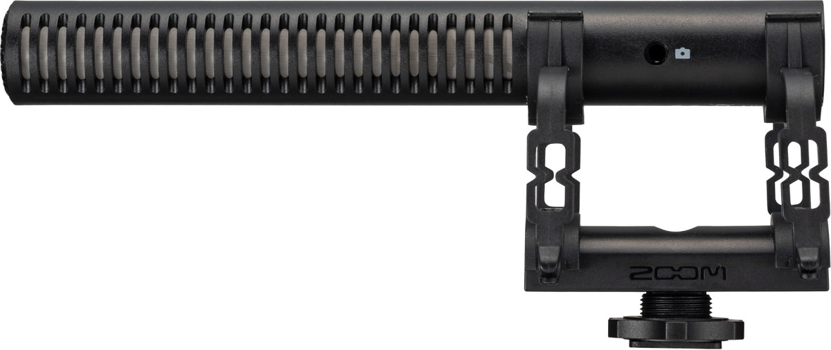 ZSG-1