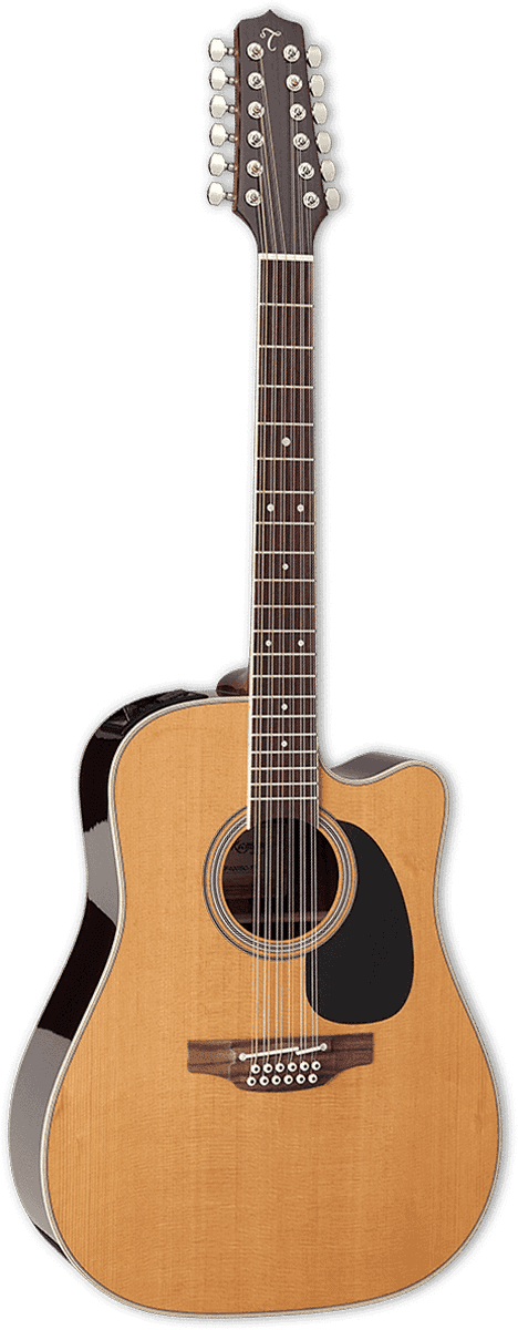 EF400SC-tt Japon Dreadnought Cutaway Electro
