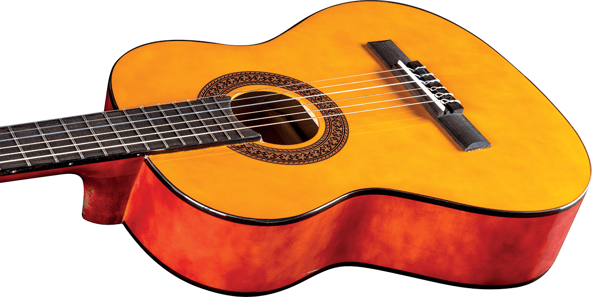 CS-5 3/4 Natural + Housse
