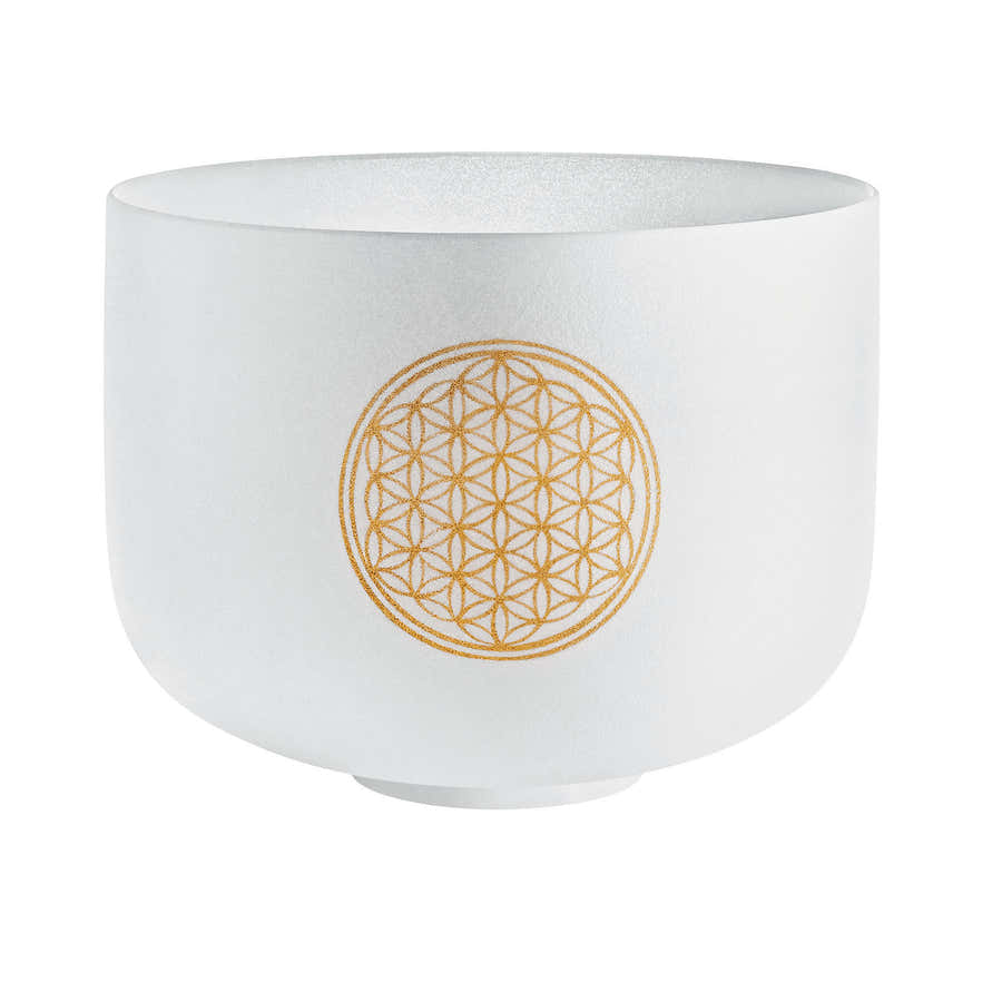 Singing Bowl Sonic Energy Cristal 10"