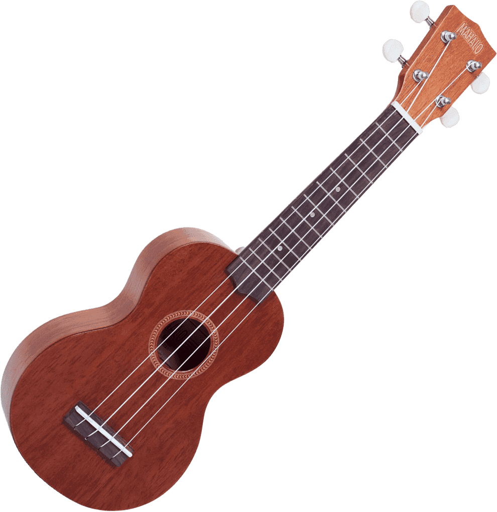 Java Soprano Transparent Brown + Housse