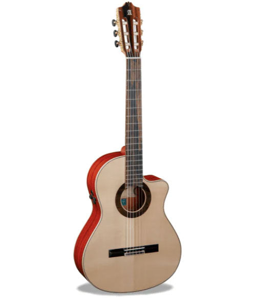 Conservatoire Green Sustain GSC CW E8 + Housse 9738