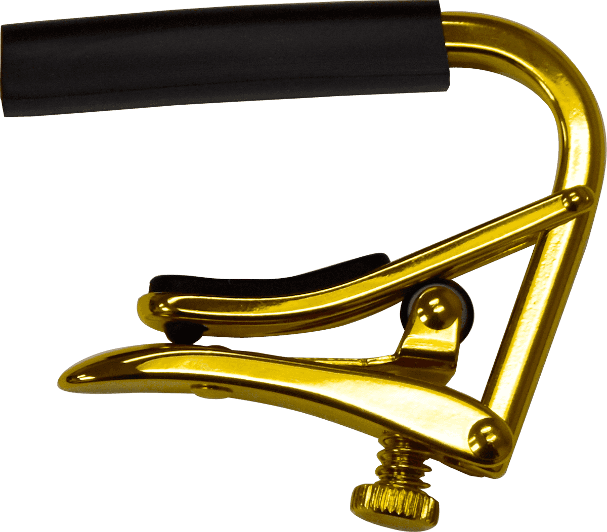 Gold 12-string