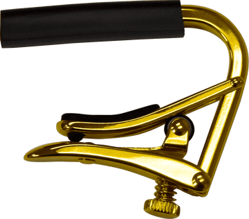 Gold 12-string