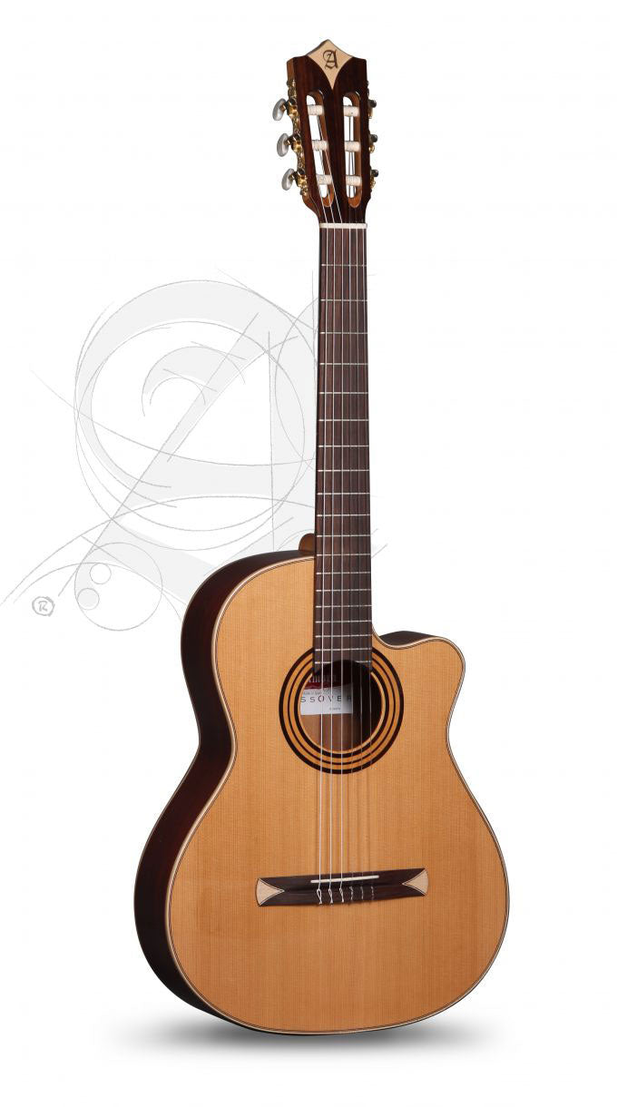 Concert CS-1 CW E1 Crossover + 9738 25mm Housse