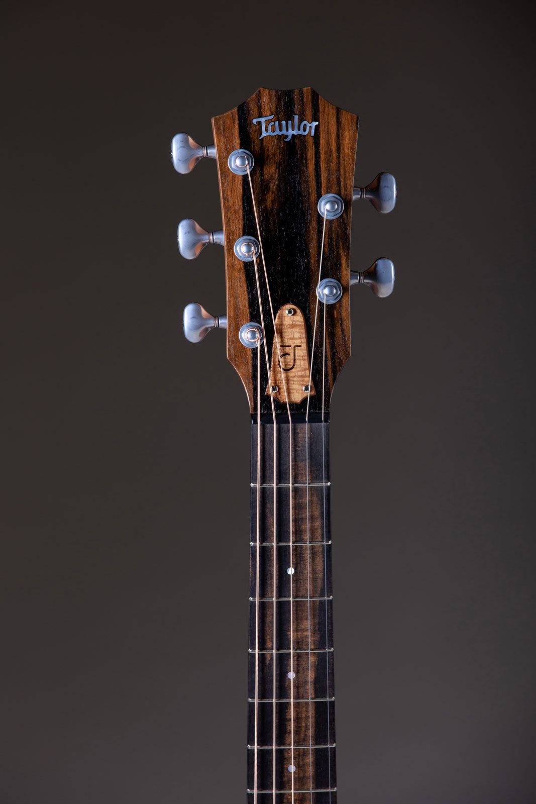 Jacob Collier Signature Model JCSM 5-string Natural Grand Concert