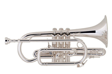 184 Stradivarius - Sib Argente