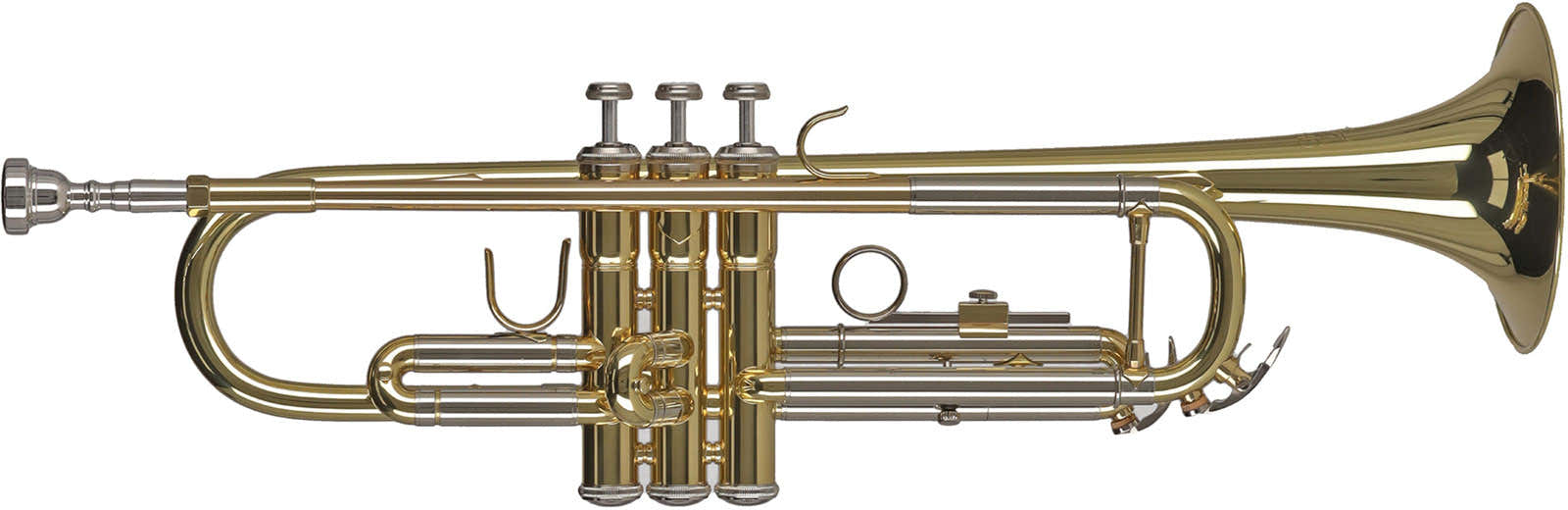 Ambition TR655 Sib Vernie