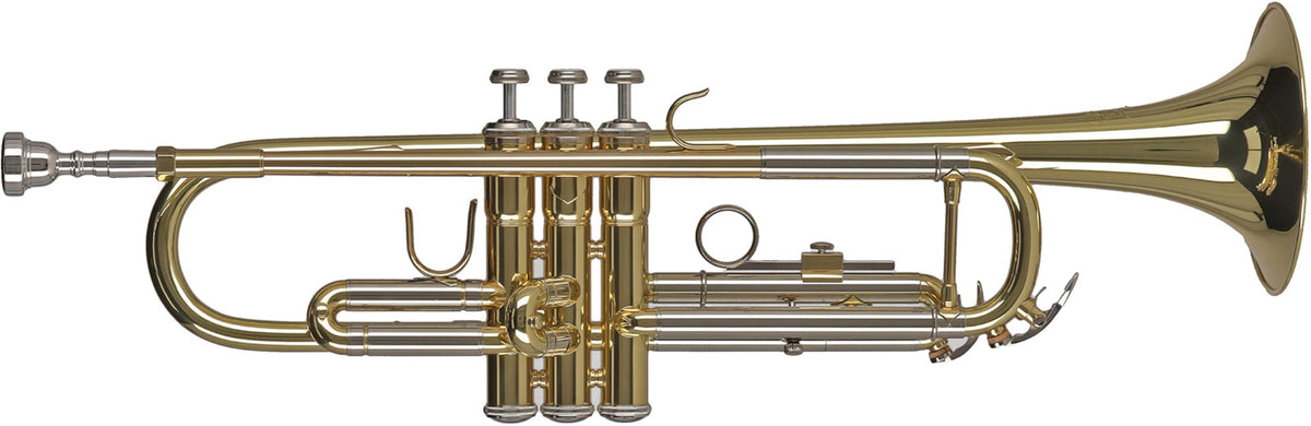 Gewa Ambition TR655 Sib Vernie