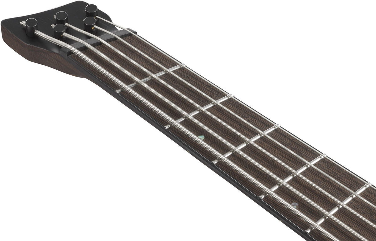 EHB1505SMS-FNL Florid Natural Bass Workshop