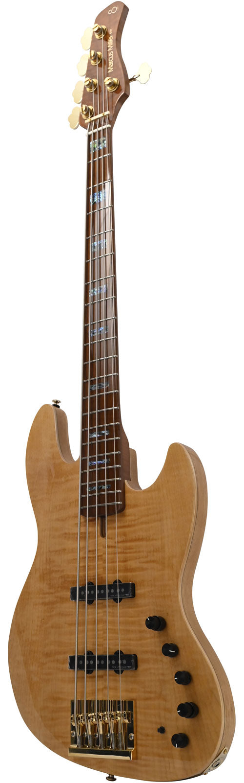 V10 Dx Swamp Ash-5 Nt Mn + Étui