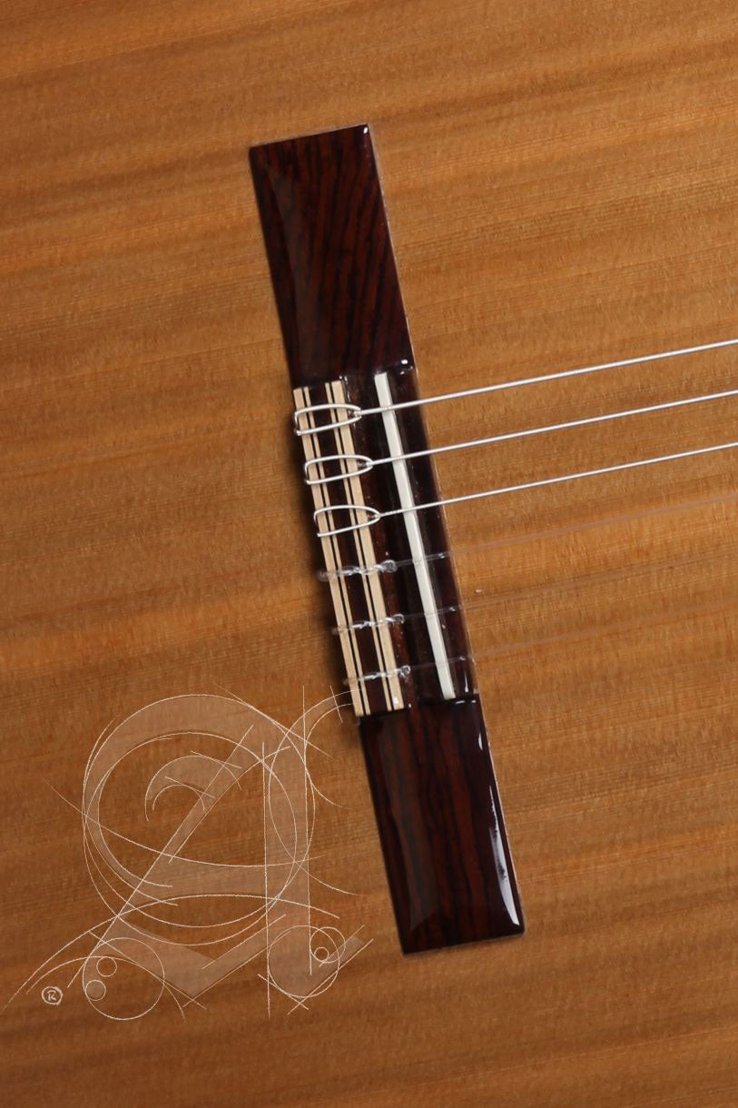 Etude Iberia Ziricote + 9738 25mm Housse