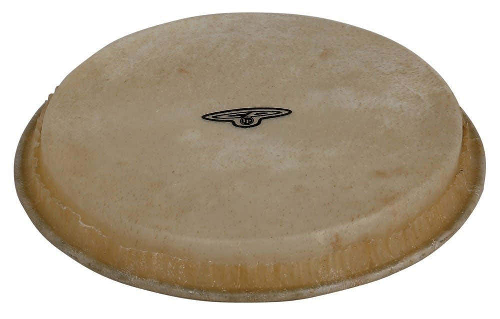 CP221B - Peau De Bongo 7 1/4" Hembra
