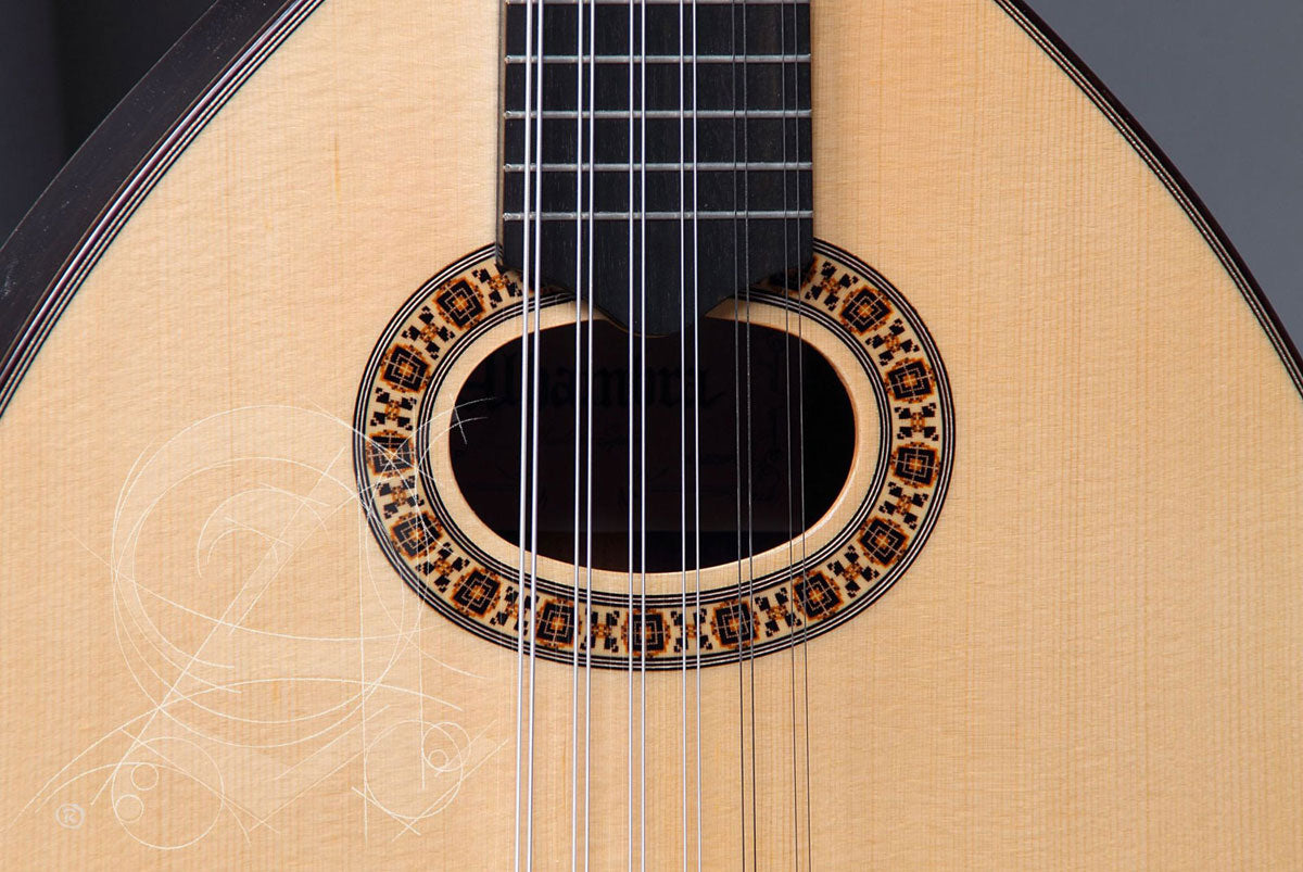 Conservatoire L-6P A Lutes + 9534 Housse