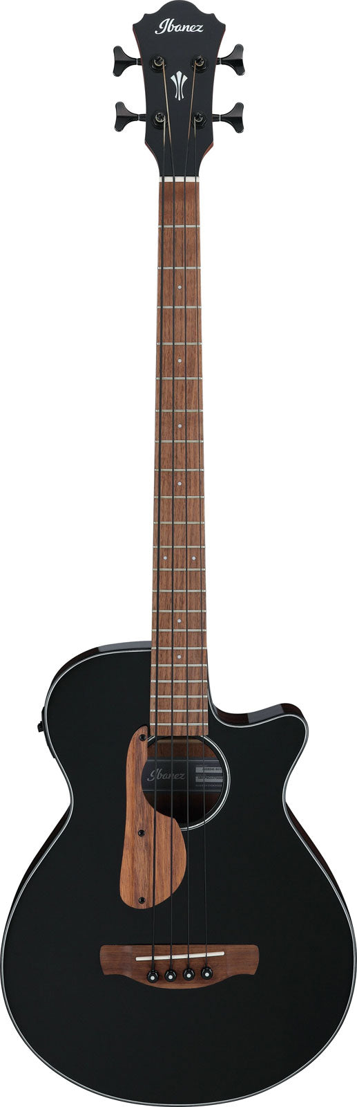 Basses acoustiques Ibanez