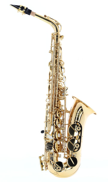 WSA100 - Alto Mi B Verni