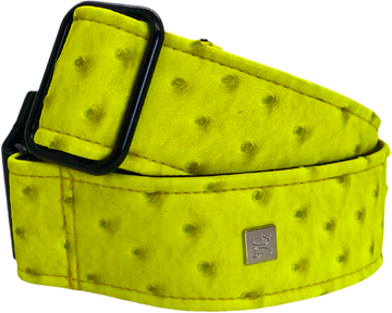 Ostrich Yellow