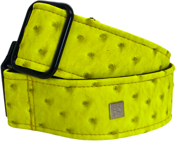 Ostrich Yellow