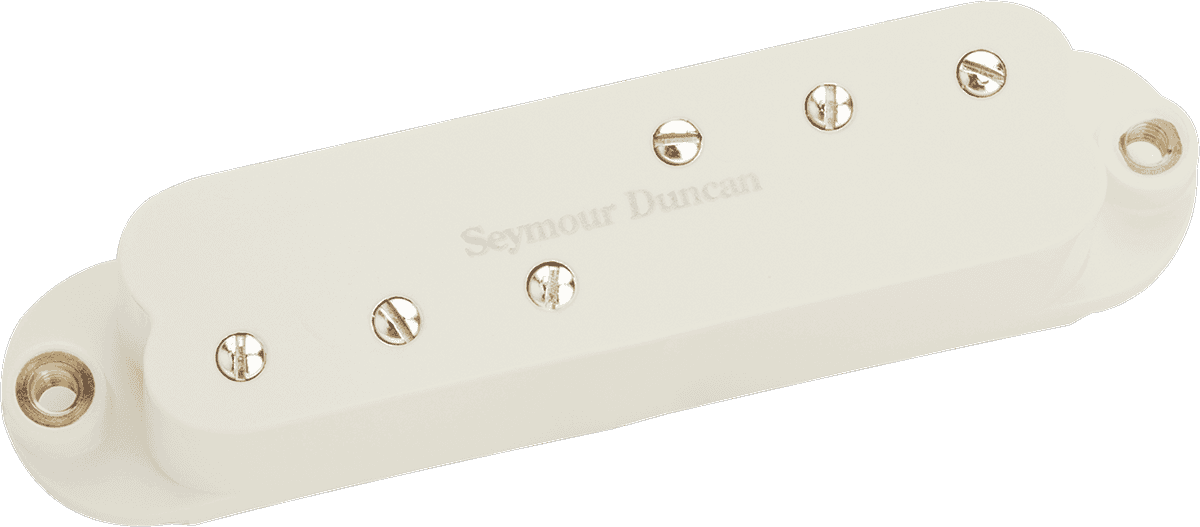 Duckbuckers Strat Manche Parchemin
