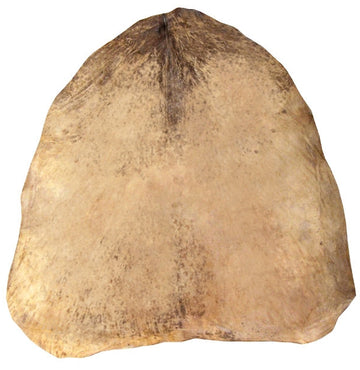 Peau De Chevre