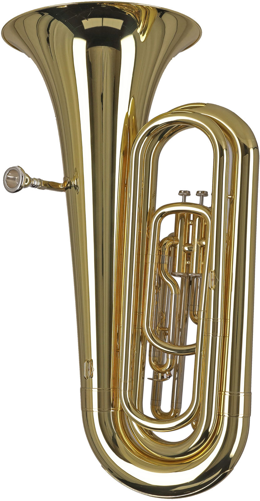 Ambition BB650 Contrebasse Sib Verni