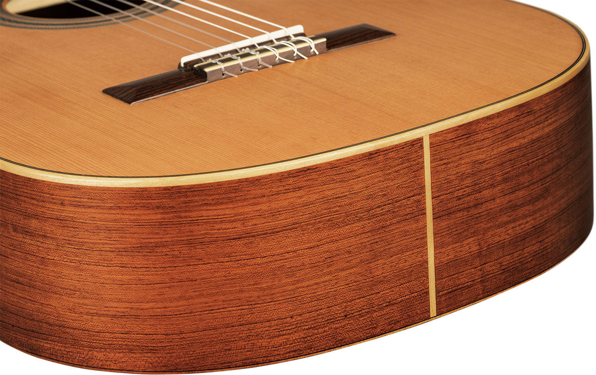 Traditional 4/4 6 LH + Pro Gig Bag