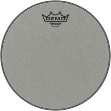 RA-0010-ss Renaissance Ambassador 10