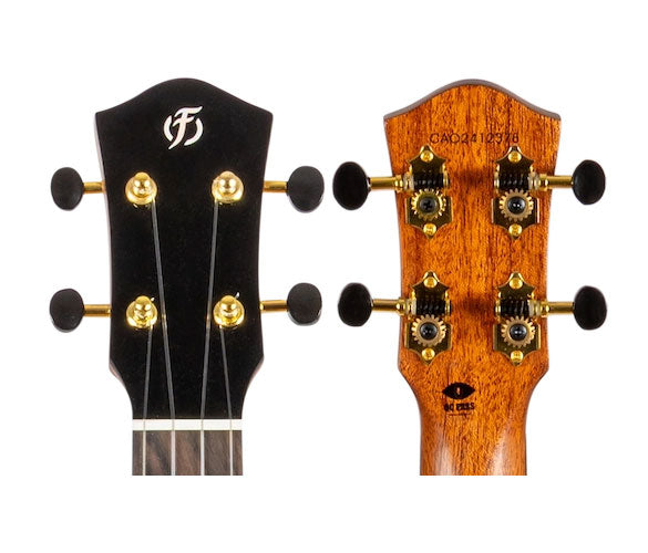 Nomad Tenor