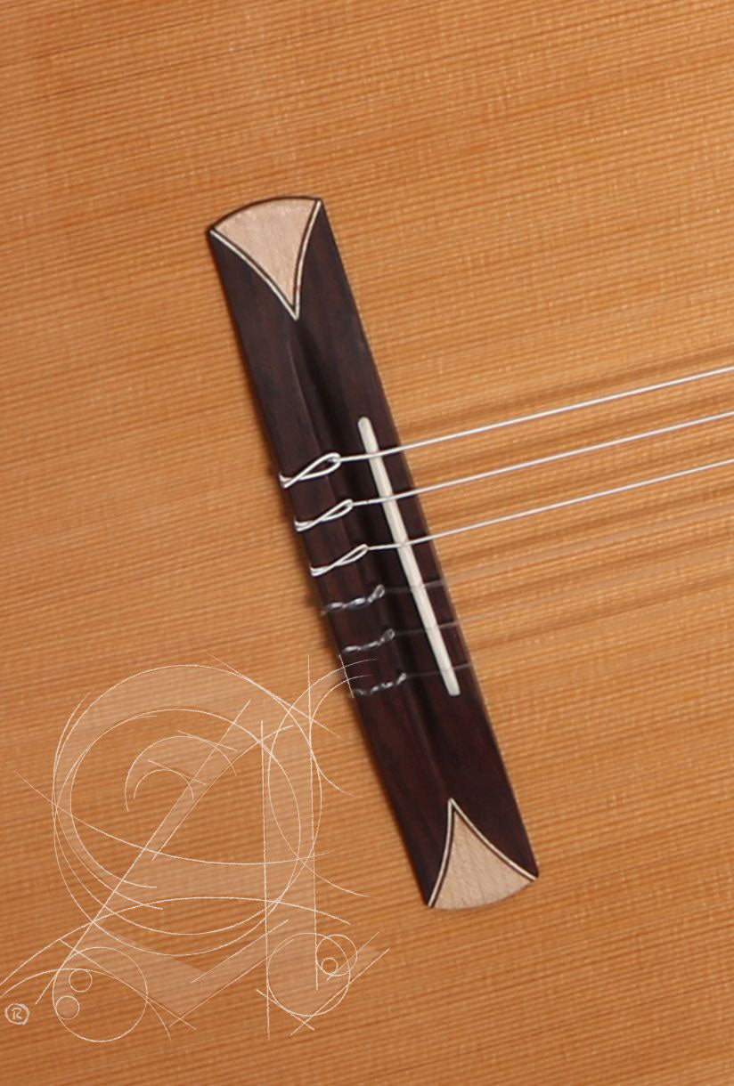 Concert CS-1 CW E1 Crossover + 9738 25mm Housse