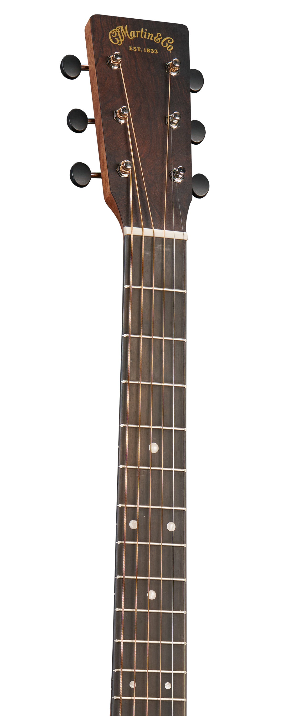 000-10E Retro Satin Spruce/Sapele