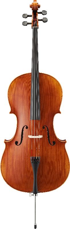 VC20G Violoncelle 4/4