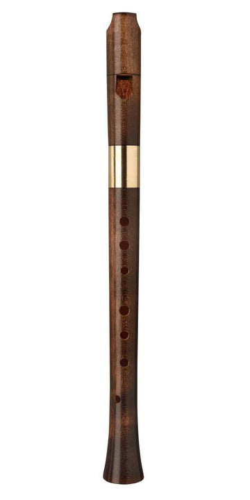 Soprano Renaissance 8221