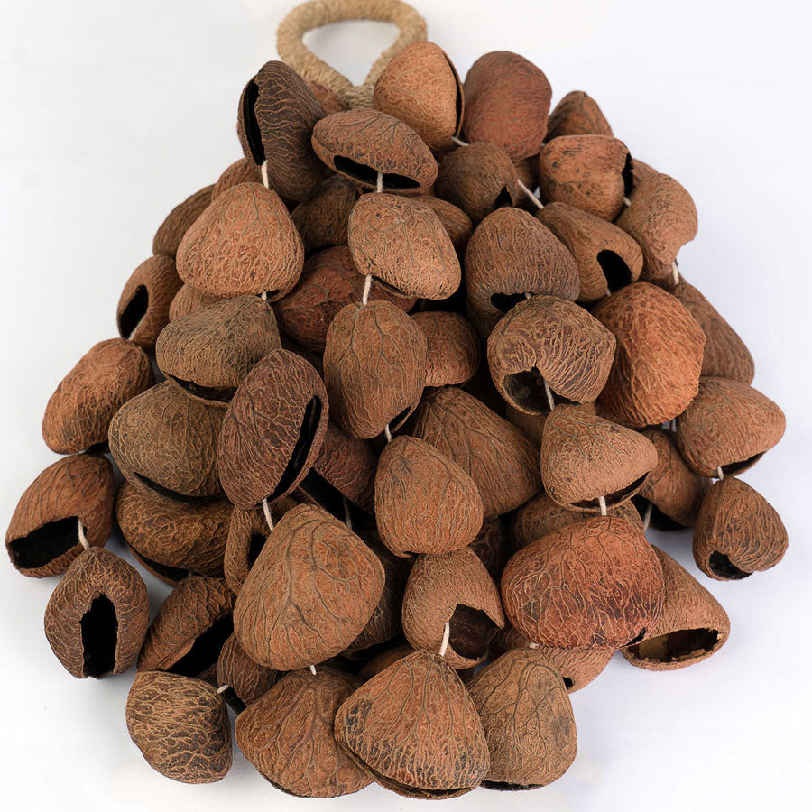 SESDS7 Seed Shaker 6 Rangées Pangi